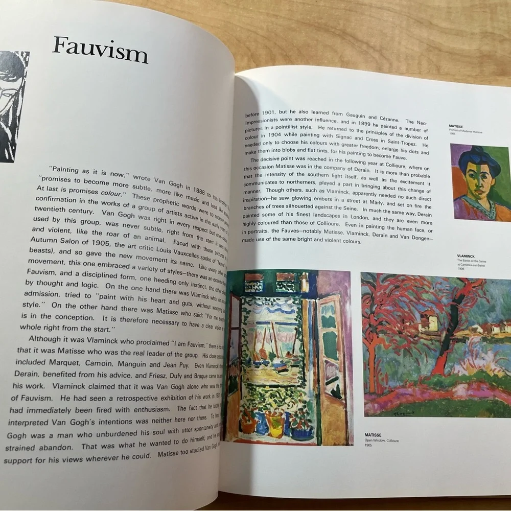 A century of modern painting by Muller Bellido Art Book